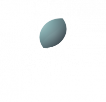 WACT-footer-logo